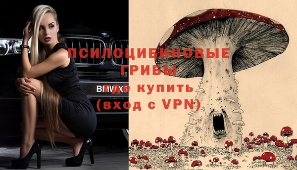 альфа пвп Михайлов