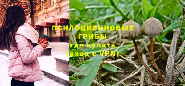 мдпв Михайловск