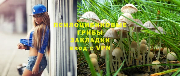 мдпв Михайловск