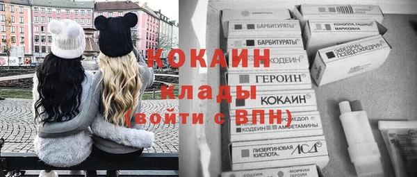 мдпв Михайловск