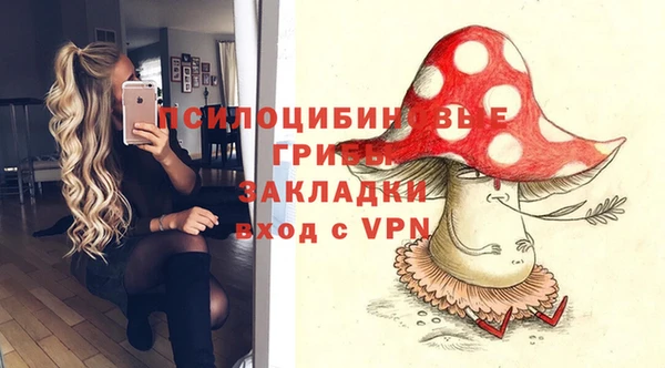 мдпв Михайловск