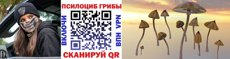Псилоцибиновые грибы прущие грибы  наркотики  Чулым 