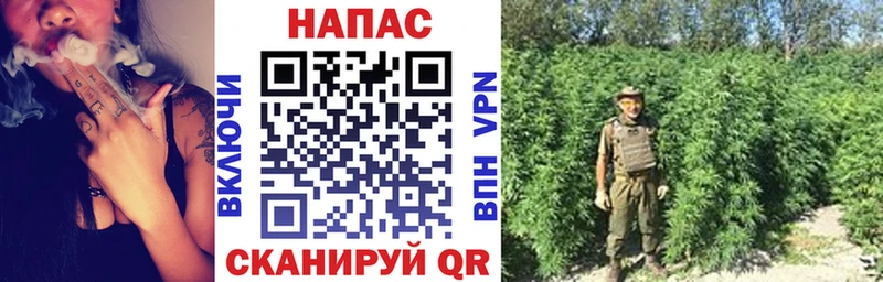 Бошки марихуана Amnesia Чулым